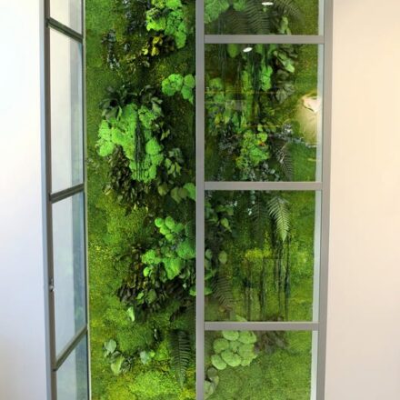 Skandinaviškos-samanos-kupstelių-ir-augalų-paveikslas